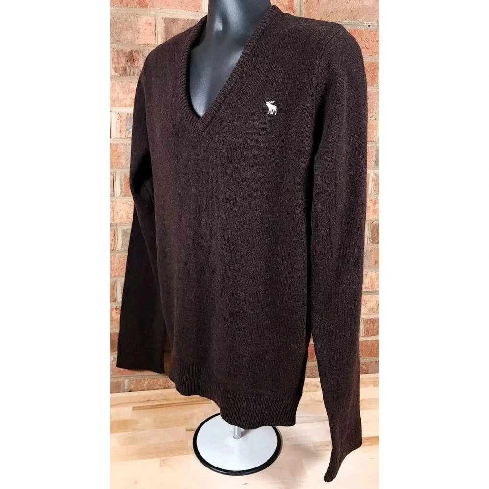 Abercrombie &‎ Fitch Sweater Brown Lambswool Size Large V Neck Long Sleeve